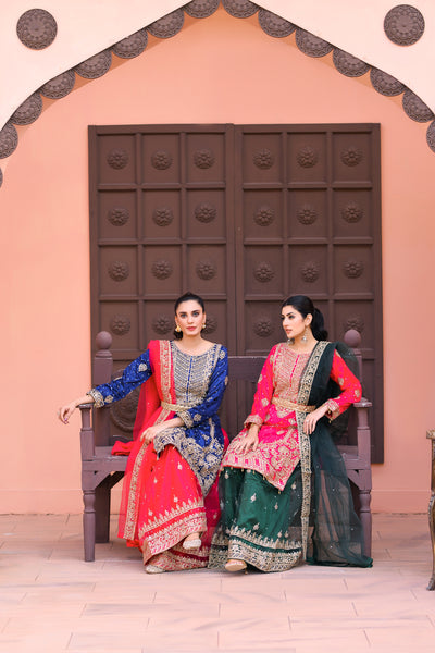 Mehndi Design Palazzo Suits 182