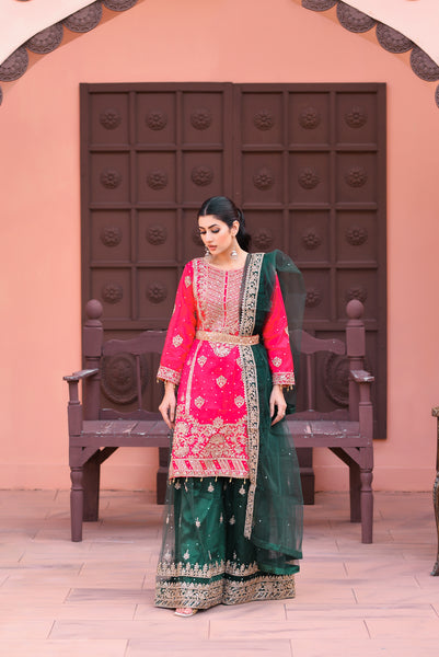 Mehndi Design Palazzo Suits 182