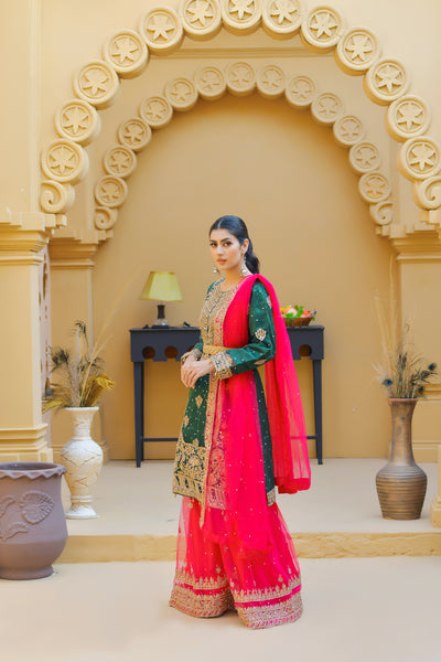 Mehndi Design Palazzo Suits 182