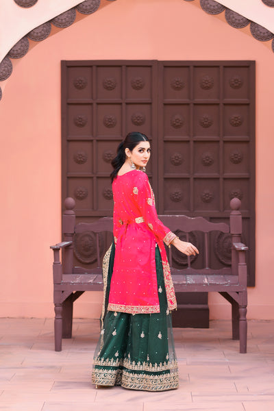 Mehndi Design Palazzo Suits 182