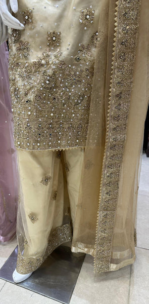 Net Blochi Palazzo Suits 2222