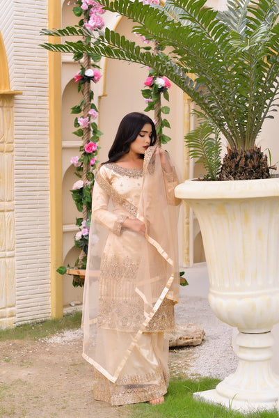 Palazzo Dresses 2000