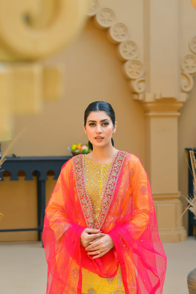 Mehndi Design Palazzo Suits 182