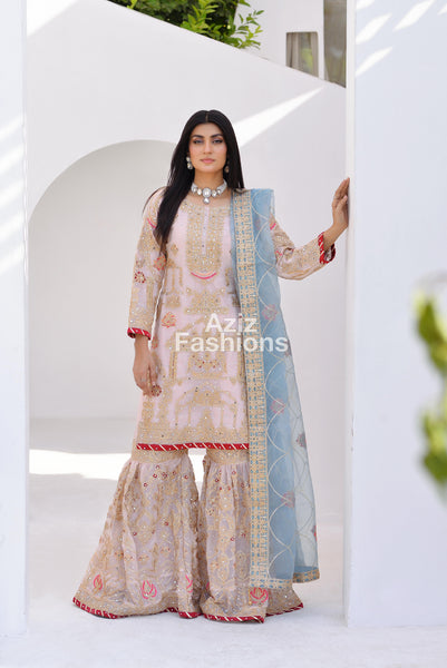 Gharara Dress 590