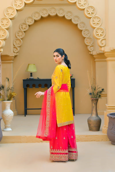 Mehndi Design Palazzo Suits 182