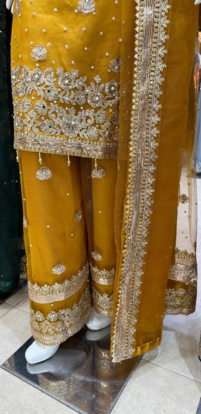 Net Blochi Palazzo Suits 519