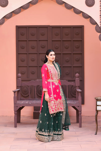 Mehndi Design Palazzo Suits 182