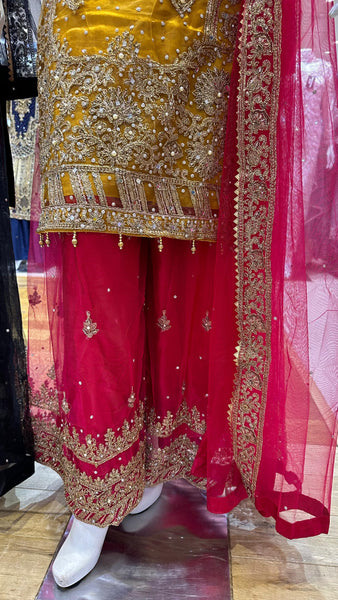 Mehndi Design Palazzo Suits 182