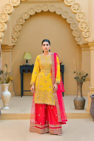 Mehndi Design Palazzo Suits 182