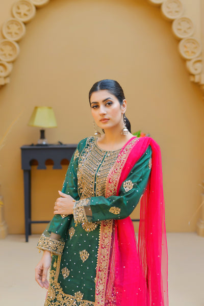 Mehndi Design Palazzo Suits 182